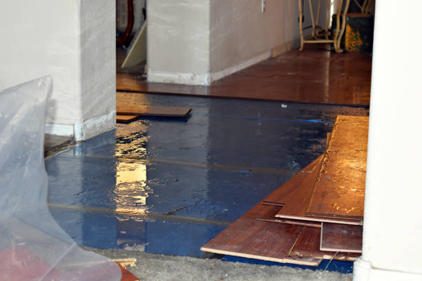 Professional Flood Damage Restoration technician working in Davilla, TX